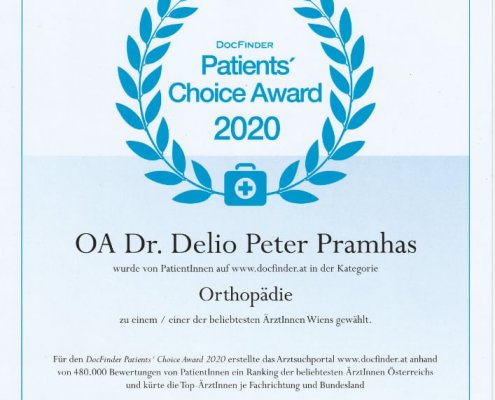 Docfinder Choice Award Wien 2020